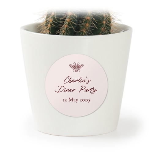 Plant Pot with Sticker - Set of 12