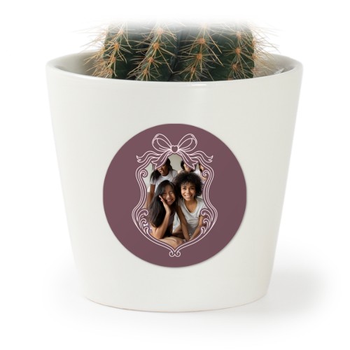 Ornamental Vintage Frame