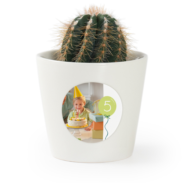 Plant Pot with Sticker - Set of 12 Plant Pot with Sticker - Set of 12