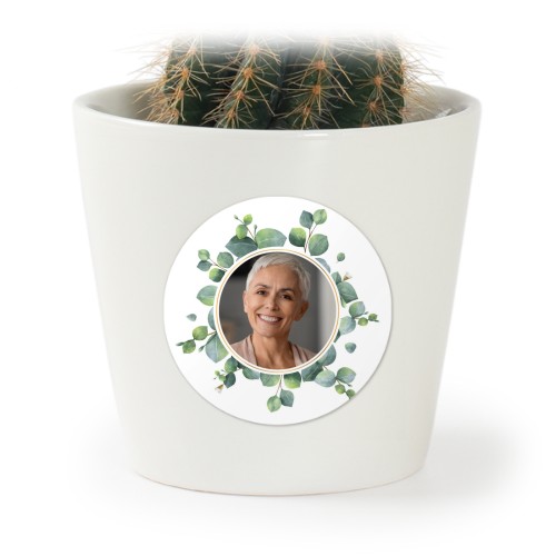 Plant Pot with Sticker - Set of 12