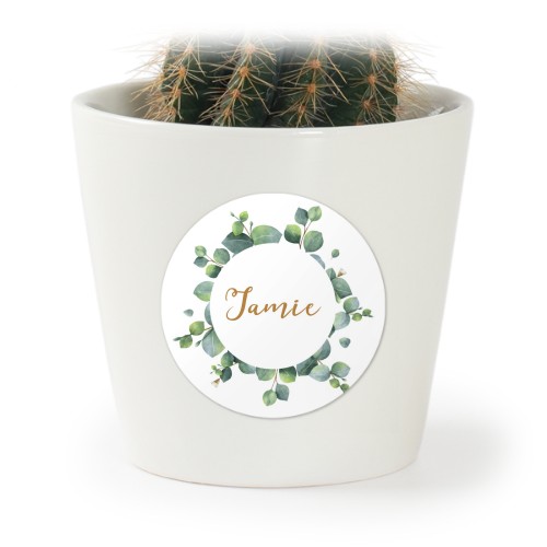 Eucalyptus Leaves - Text Only