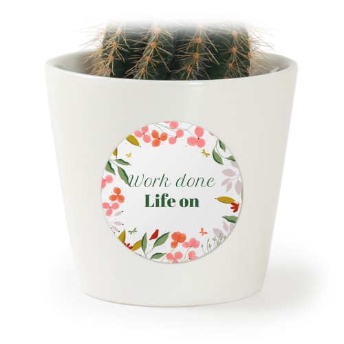 Floral Celebration Floral Celebration