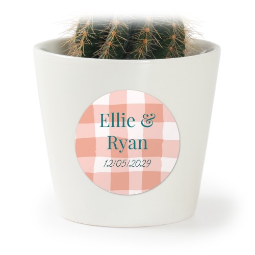 Plant Pot with Sticker - Set of 12