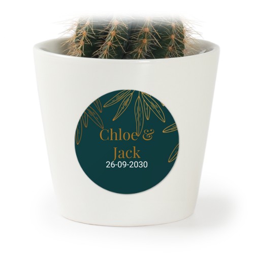 Pot de fleurs avec autocollant - lot de 12