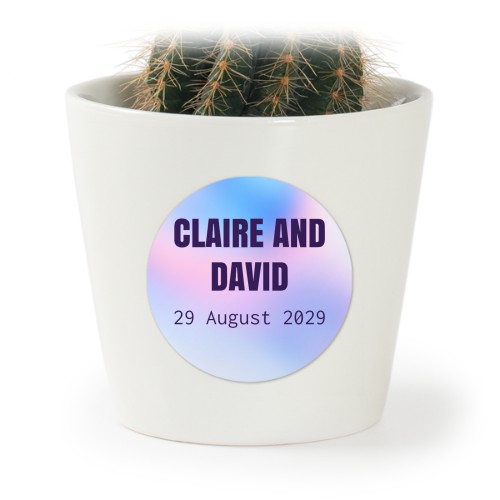 Bloempot met sticker - set van 12 Bloempot met sticker - set van 12
