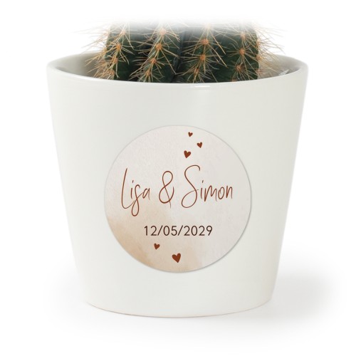 Plant Pot with Sticker - Set of 12 Plant Pot with Sticker - Set of 12