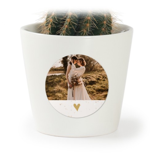 Bloempot met sticker - set van 12 Bloempot met sticker - set van 12