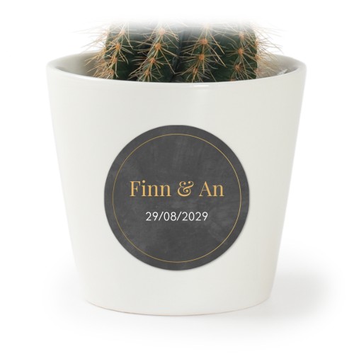 Bloempot met sticker - set van 12 Bloempot met sticker - set van 12