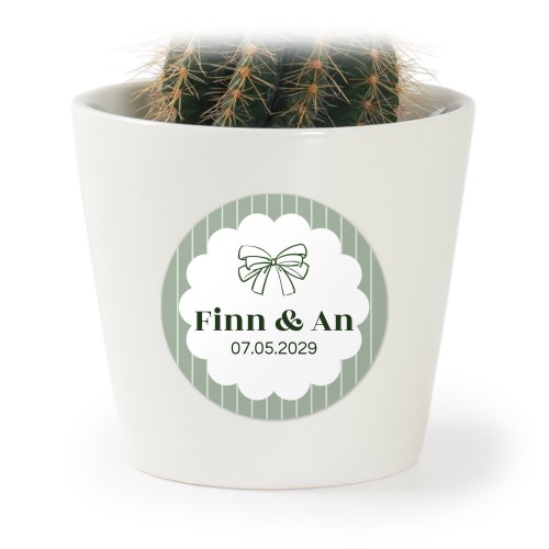 Pot de fleurs avec autocollant - lot de 12