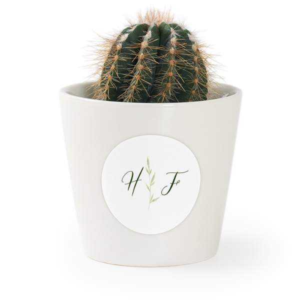 Flower pot with sticker - set of 12