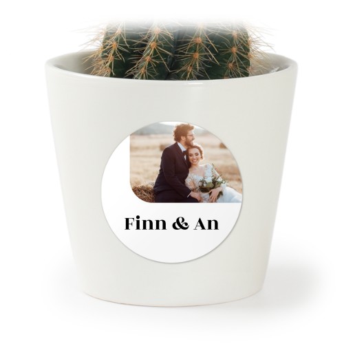 Plant Pot with Sticker - Set of 12 Plant Pot with Sticker - Set of 12