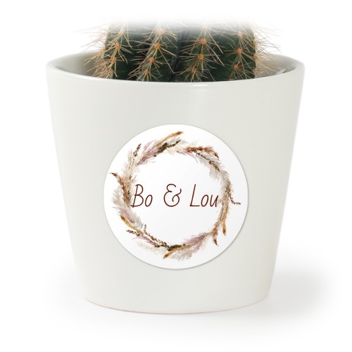 Plant Pot with Sticker - Set of 12 Plant Pot with Sticker - Set of 12