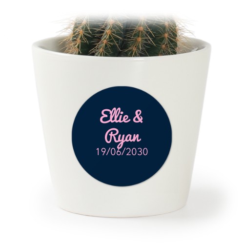 Typo Pacifico - Text Only