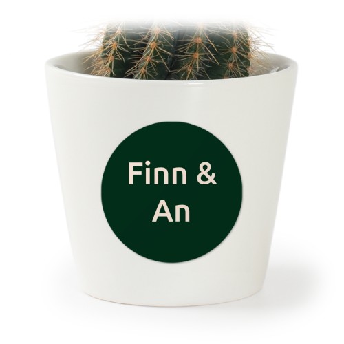 Plant Pot with Sticker - Set of 12 Plant Pot with Sticker - Set of 12