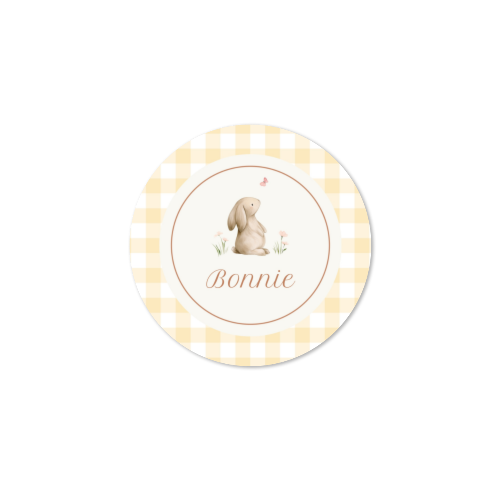 Cute Bunny Vichy