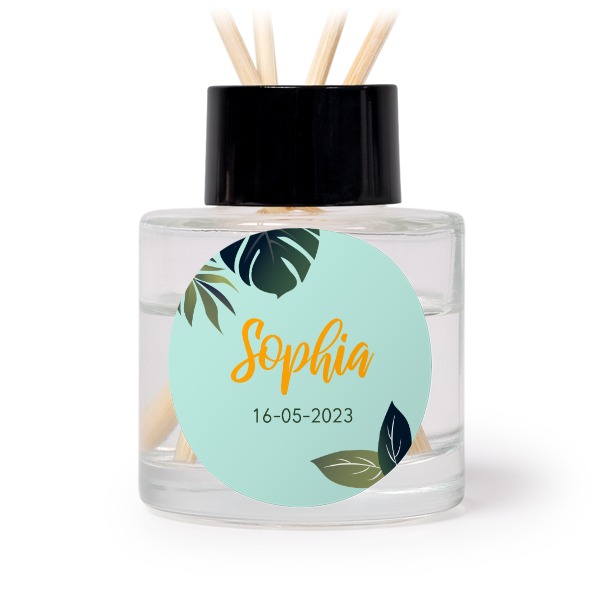 TropicalToucanLemonTO TropicalToucanLemonTO