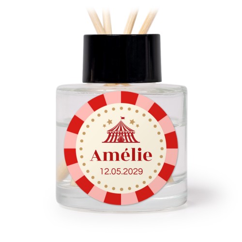 Circus Ticket Circus Ticket