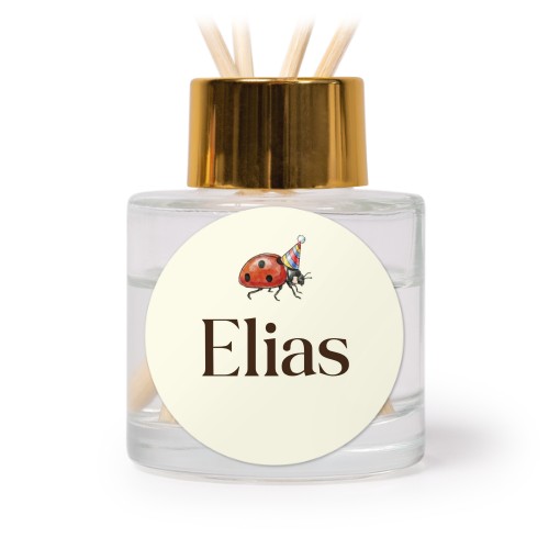 Geurstokjes goud rond (set van 12)