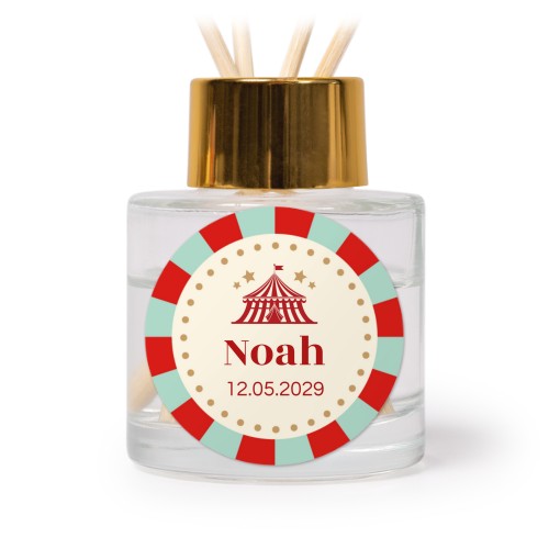 Circus Ticket Circus Ticket