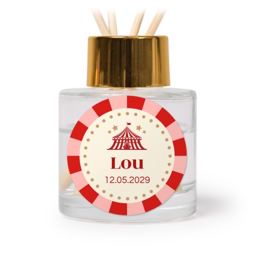 Circus Ticket Circus Ticket