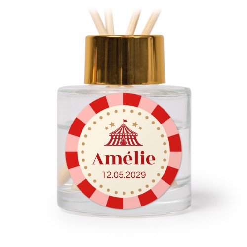 Circus Ticket Circus Ticket