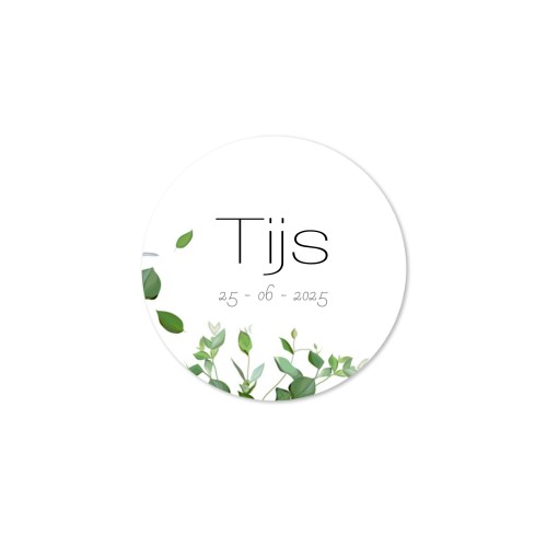 Diffuser med doftpinnar Natur Rund - 12 st