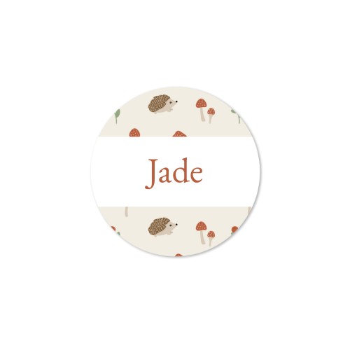 Diffuseur de parfum de maison Naturel Rond (lot de 12)