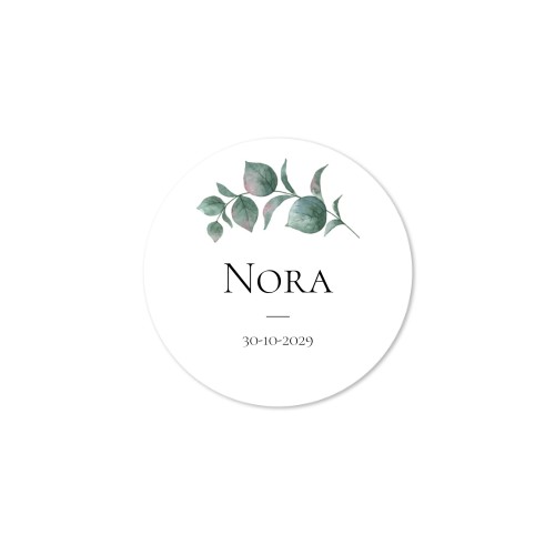 Geurstokjes naturel rond (set van 12)