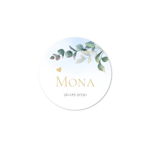 House Perfume Diffuser Natural Round - set of 12