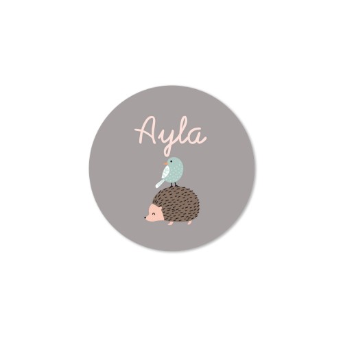 Diffuseur de parfum de maison Naturel Rond (lot de 12)