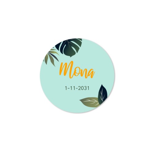 Diffuser med doftpinnar Natur Rund - 12 st