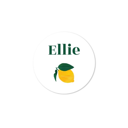 House Perfume Diffuser Natural Round - set of 12