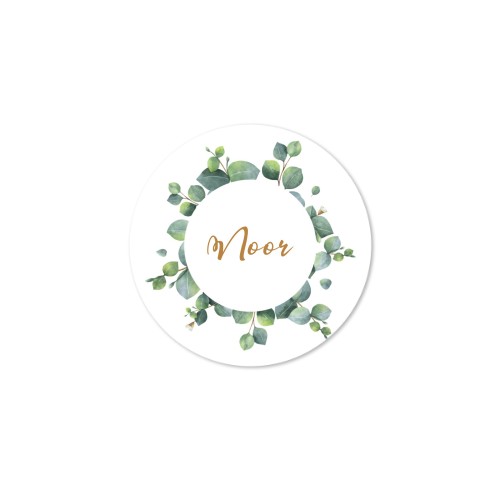 House Perfume Diffuser Natural Round - set of 12