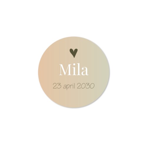 House Perfume Diffuser Natural Round - set of 12 House Perfume Diffuser Natural Round - set of 12