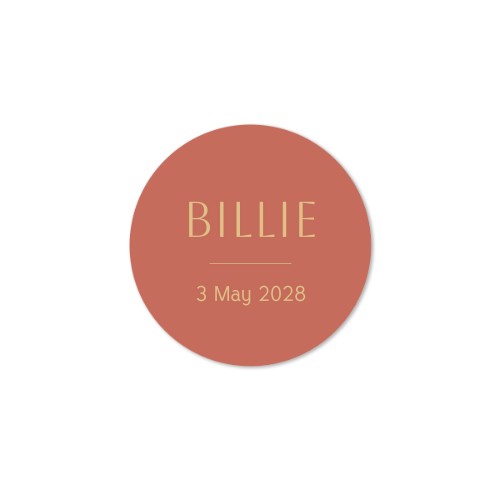 House Perfume Diffuser Natural Round - set of 12