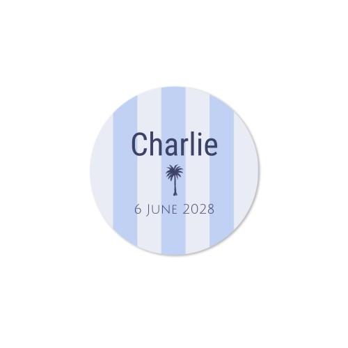 Diffuseur de parfum de maison Naturel Rond (lot de 12)