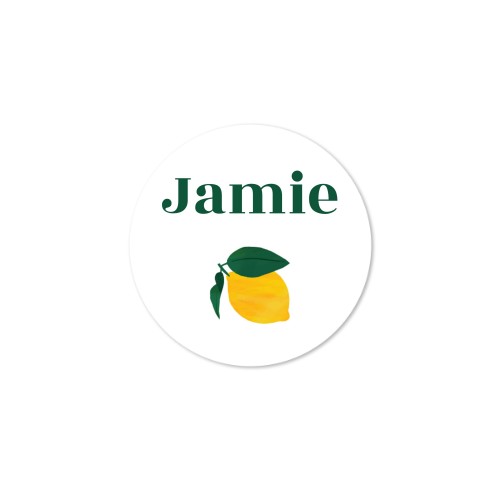 House Perfume Diffuser Natural Round - set of 12 House Perfume Diffuser Natural Round - set of 12