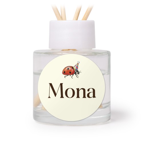 Geurstokjes wit rond (set van 12)