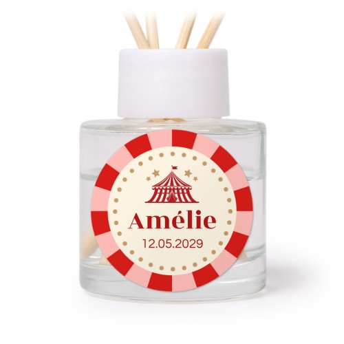 Circus Ticket Circus Ticket