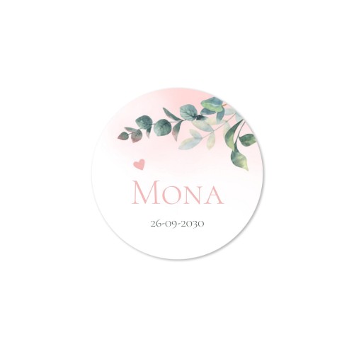 Rosa Lutscher mit Fotoaufkleber personalisiert - 6 stk