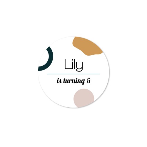 Sucettes roses (lot de 6)