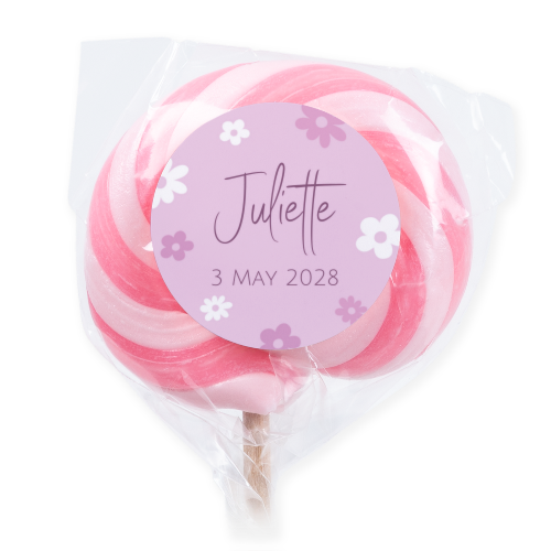 Sucettes roses (lot de 6) Sucettes roses (lot de 6)