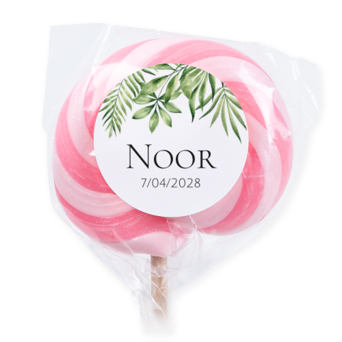 Lollipops Pink - set of 6