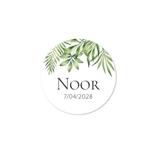 Lollipops Pink - set of 6