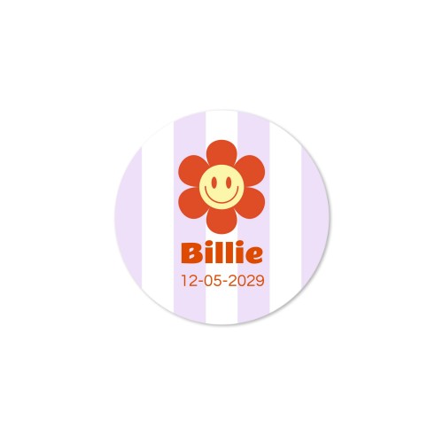 Lolly's Roze (set van 6)