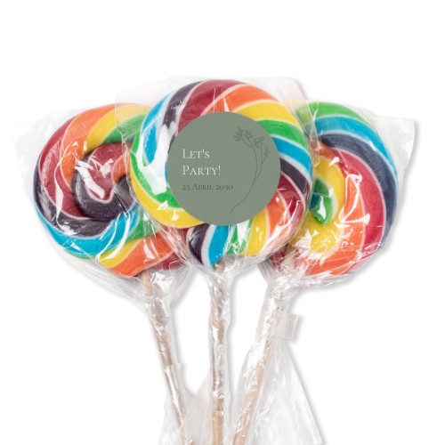 Lolly regenboog (set van 12) Lolly regenboog (set van 12)