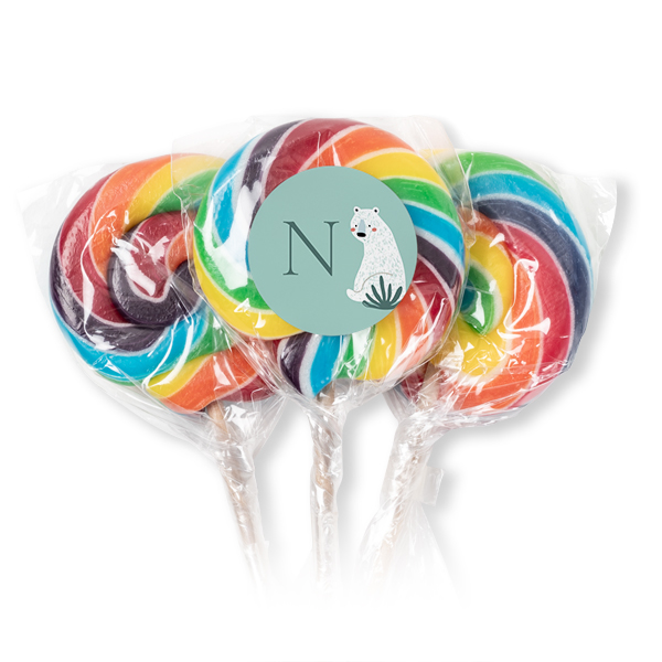Lolly regenboog (set van 12) Lolly regenboog (set van 12)