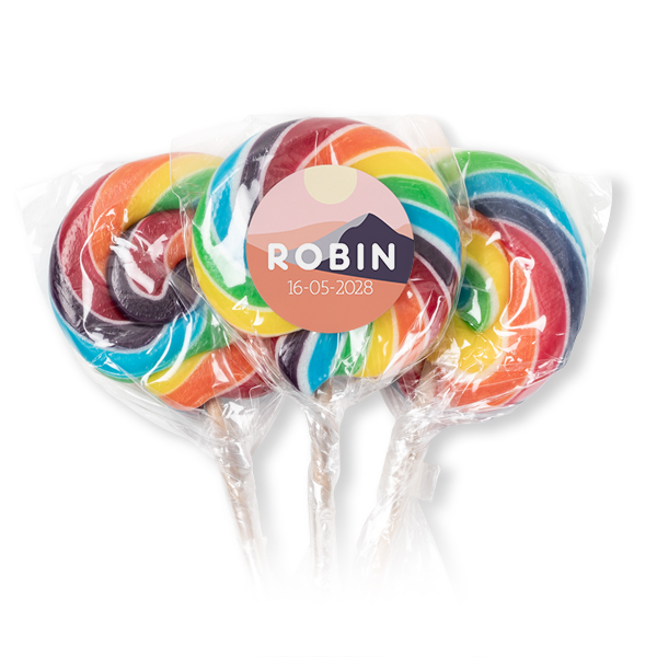 Lolly regenboog (set van 12) Lolly regenboog (set van 12)