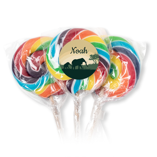 Lolly regenboog (set van 12)