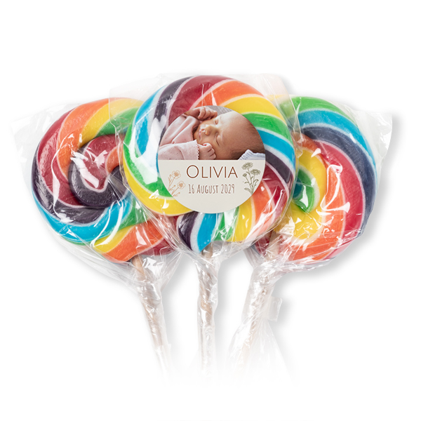 Lolly regenboog (set van 12)